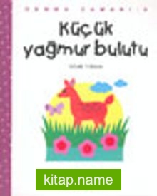 Küçük Yağmur Bulutu