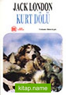 Kurt Dölü