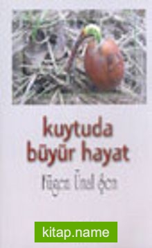 Kuytuda Büyür Hayat