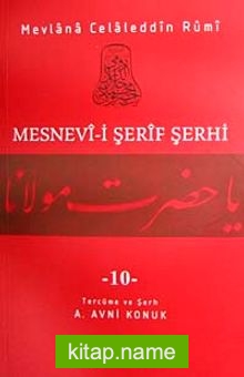 Mesnevi-i Şerif Şerhi 10