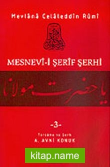 Mesnevi-i Şerif Şerhi 3