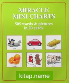 Miracle Mini Charts 505 Words In 20 Cards
