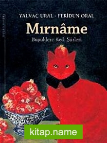 Mırname Büyüklere Kedi Şiirleri