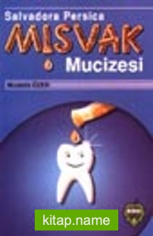 Misvak Mucizesi