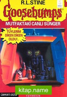 Mutfaktaki Canlı Sünger