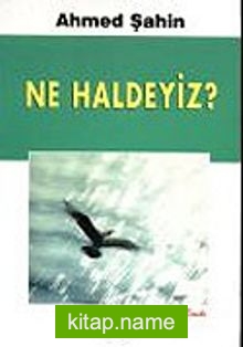 Ne Haldeyiz?