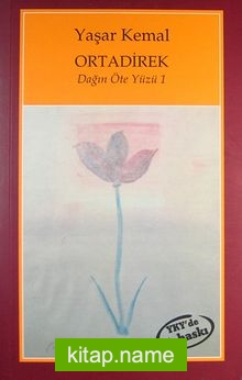 Ortadirek (Dağın Öte Yüzü 1)