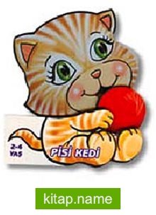 Pisi Kedi