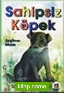 Sahipsiz Köpek