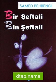 Samed Behrengi Hikayeleri (10 Kitap)