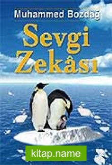 Sevgi Zekası