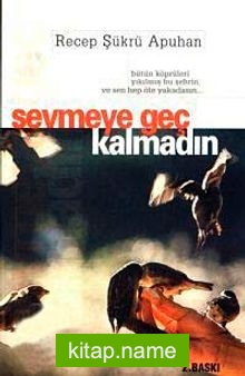 Sevmeye Geç Kalmadın