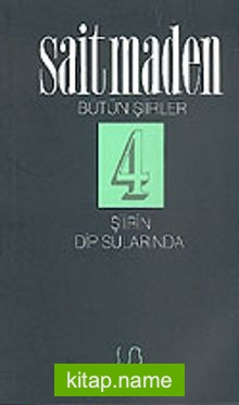 Şiirin Dip Sularında: Bütün Şiirler 4