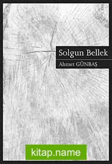 Solgun Bellek