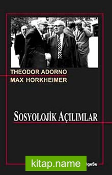 Sosyolojik Açılımlar