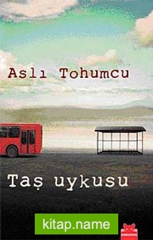 Taş Uykusu