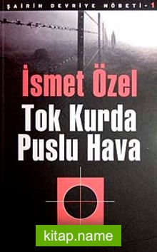 Tok Kurda Puslu Hava / Şairin Devriye Nöbeti-1