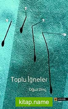 Toplu İğneler