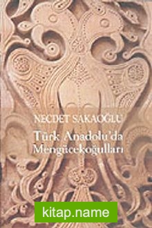 Türk Anadolu’da Mengücekoğulları