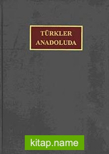 Türkler Anadolu’da