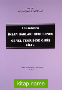 Ulusalüstü İnsan Hakları Hukukunun Genel Teorisine Giriş Cilt 2