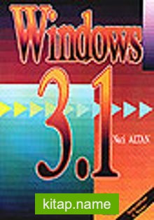 Windows 3.1