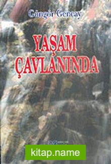 Yaşam Çavlanında