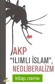 AKP Ilımlı İslam, Neoliberalizm