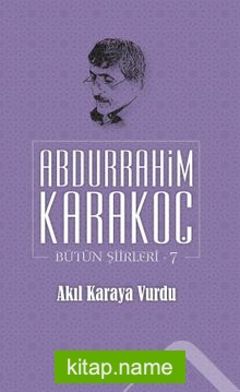 Akıl Karaya Vurdu / Bütün Şiirleri 7