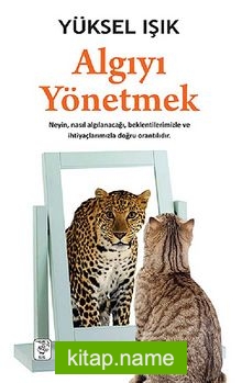 Algıyı Yönetmek