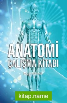 Anatomi Çalışma Kitabı