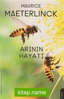 Arının Hayatı