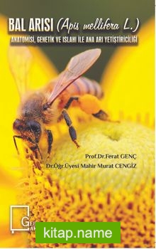 Bal Arısı (Apis Mellifera L.) Anatomisi, Genetik ve Islahı ile Ana Arı Yetiştiriciliği