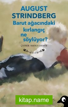 Barut Ağacındaki Kırlangıç Ne Söylüyor?