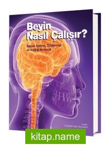 Beyin Nasıl Çalışır?