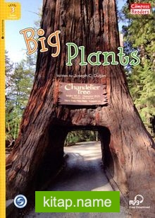 Big Plants +Downloadable Audio (Compass Readers 3) A1