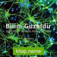 Bilim Güzeldir – Mikroskop Altında İnsan Vücudu