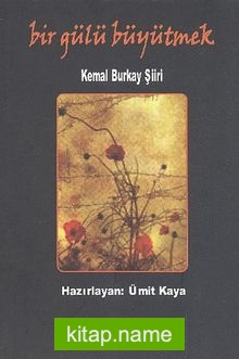 Bir Gülü Büyütmek