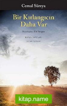 Bir Kırlangıcın Daha Var