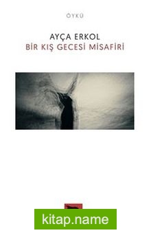 Bir Kış Gecesi Misafiri