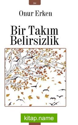 Bir Takım Belirsizlik