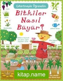 Bitkiler Nasıl Büyür? / Çıkartmayla Öğrenelim