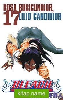 Bleach 17