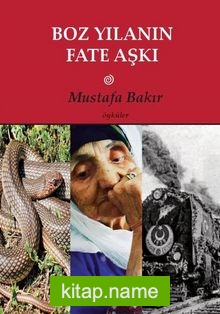 Boz Yılanın Fate Aşkı