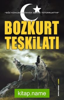 Bozkurt Teşkilatı