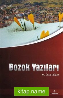 Bozok Yazıları