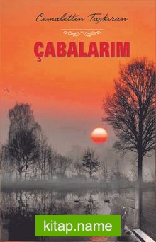 Çabalarım