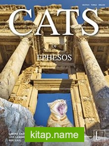 Cats Of Ephesos