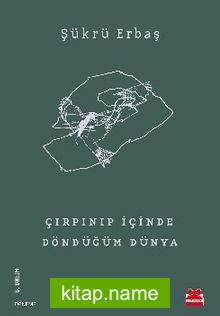 Çırpınıp İçinde Döndüğüm Dünya