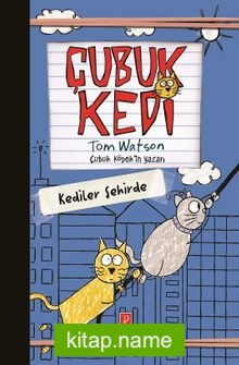 Çubuk Kedi Kediler Şehirde